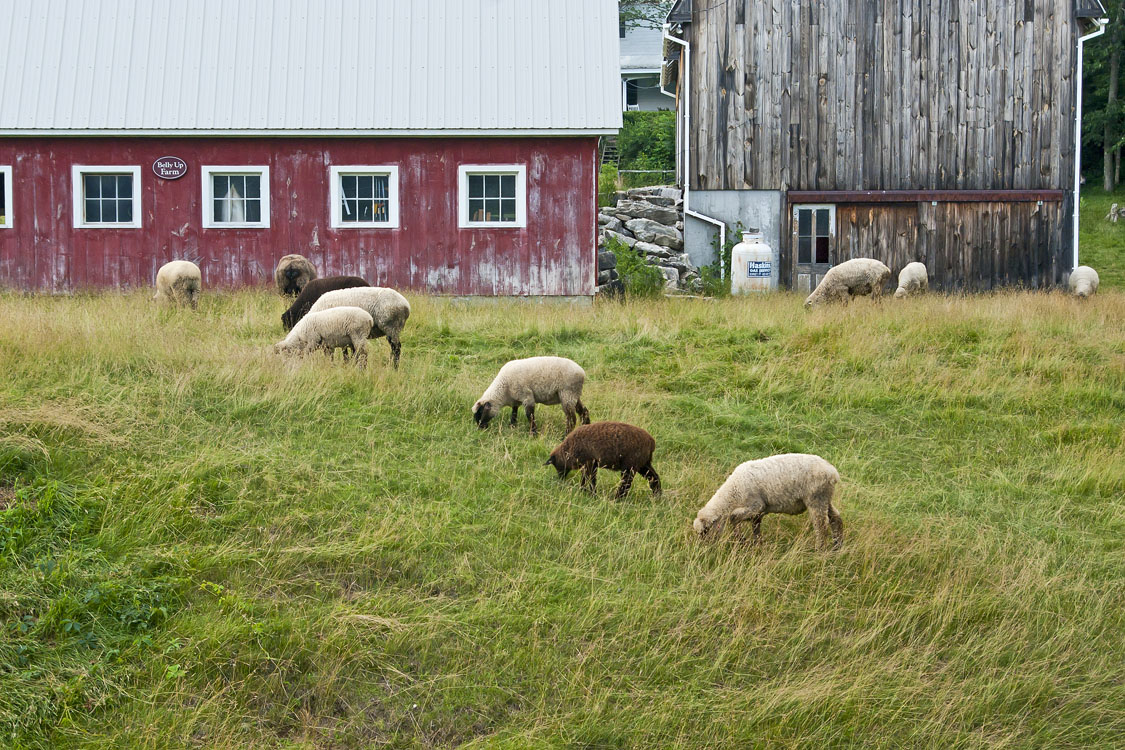 New England farm photos