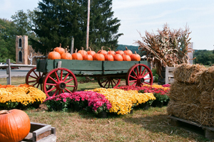 new england farm Photos