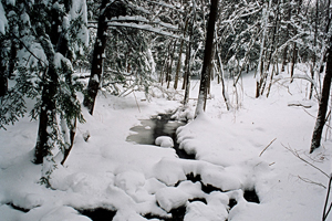 new england winter Photos