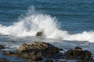 new england seashore Photos