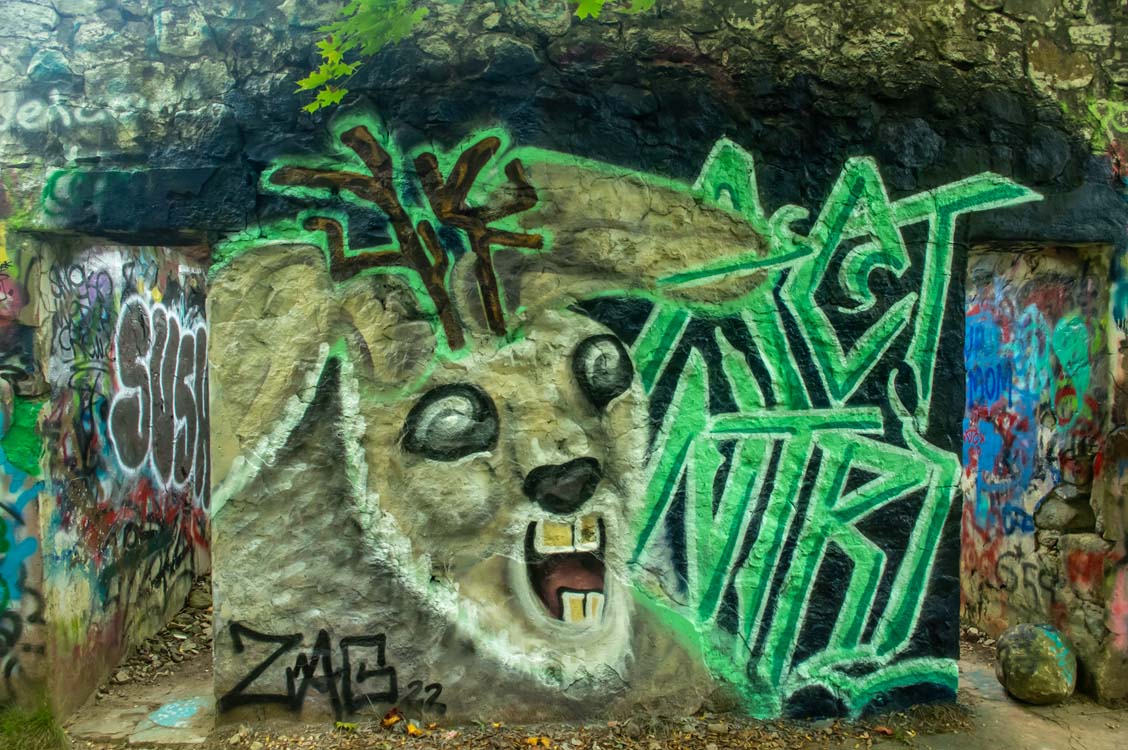 Abandoned New England