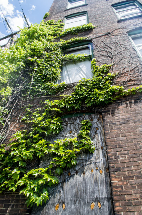 Abandoned New England