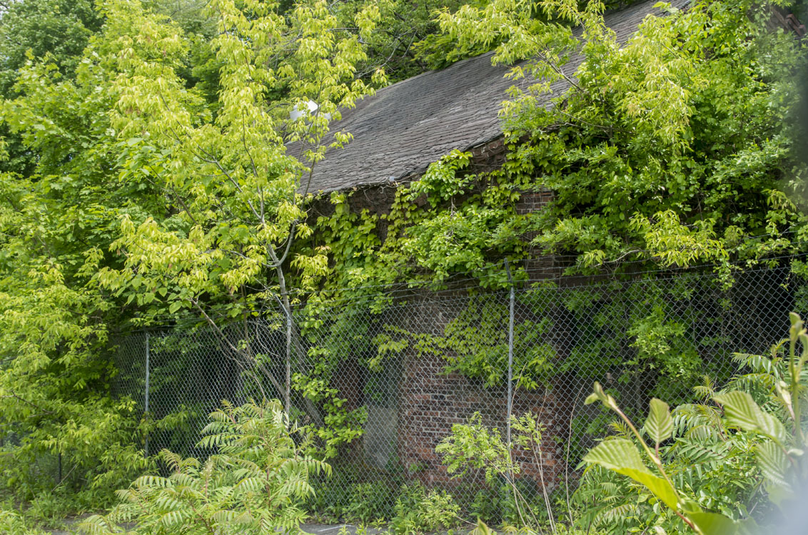 Abandoned New England
