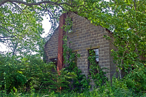 Abandoned New England