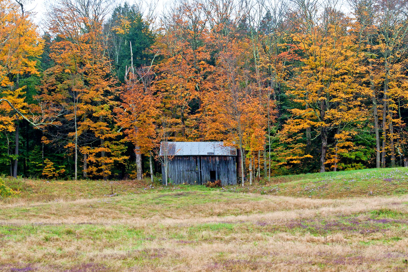 New England Autumn photos